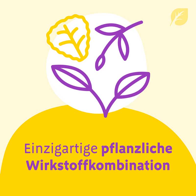 CANEPHRON Uno 60 St Überzogene Tabletten