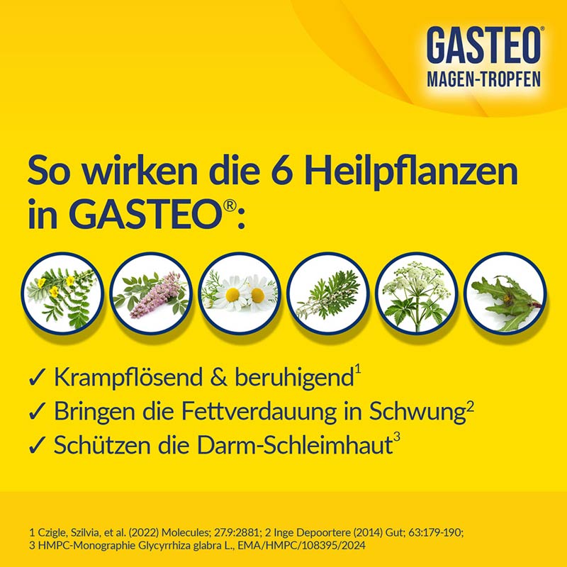 GASTEO 100 ml Flüssigkeit zum Einnehmen