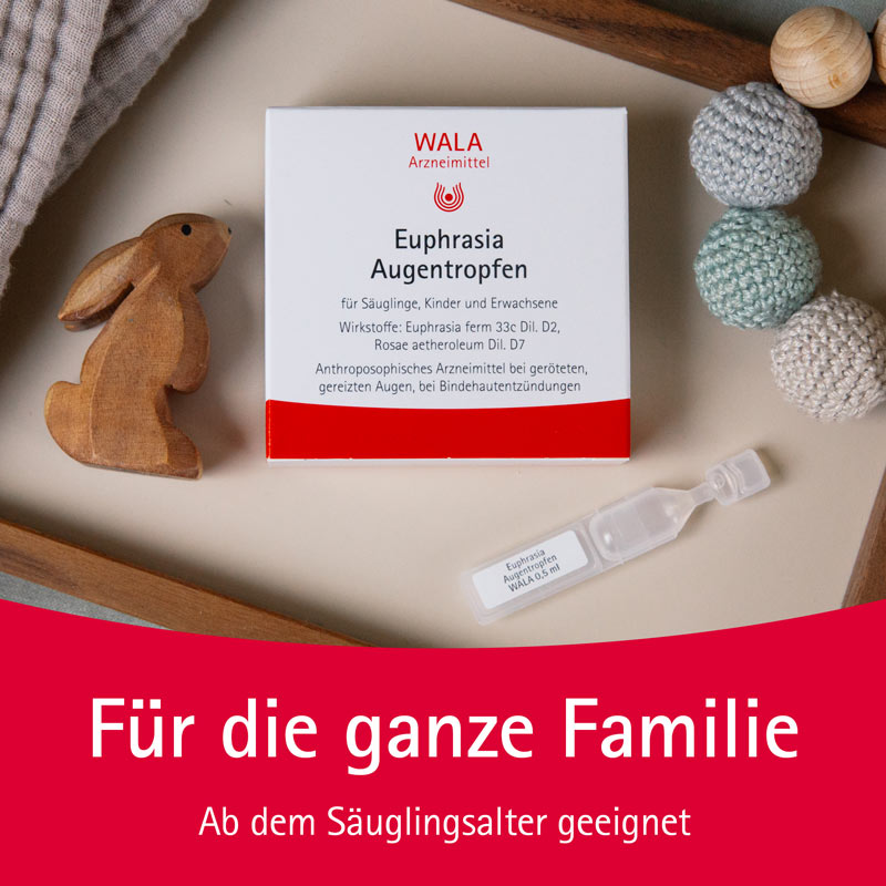 WALA Euphrasia Augentropfen 5X0.5 ml Augentropfen