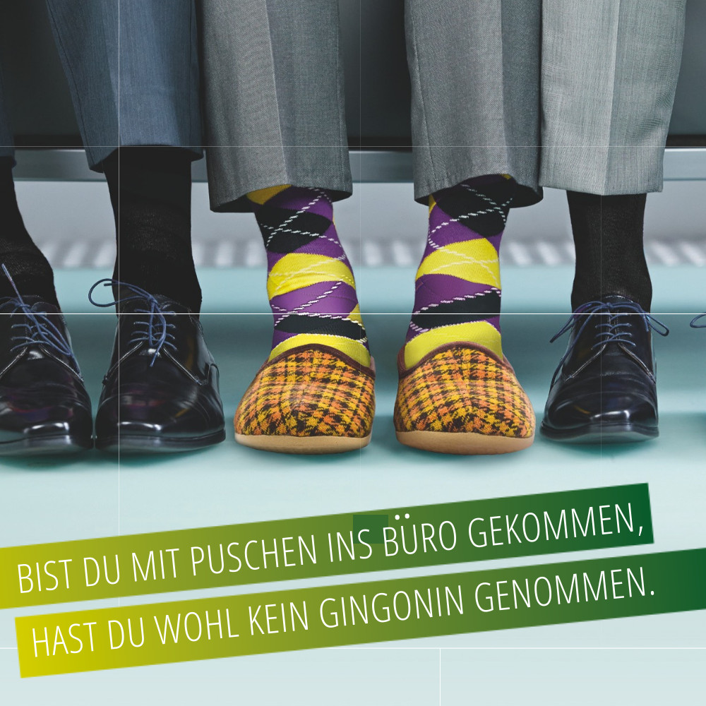 Gingonin 120mg 30 St Hartkapseln