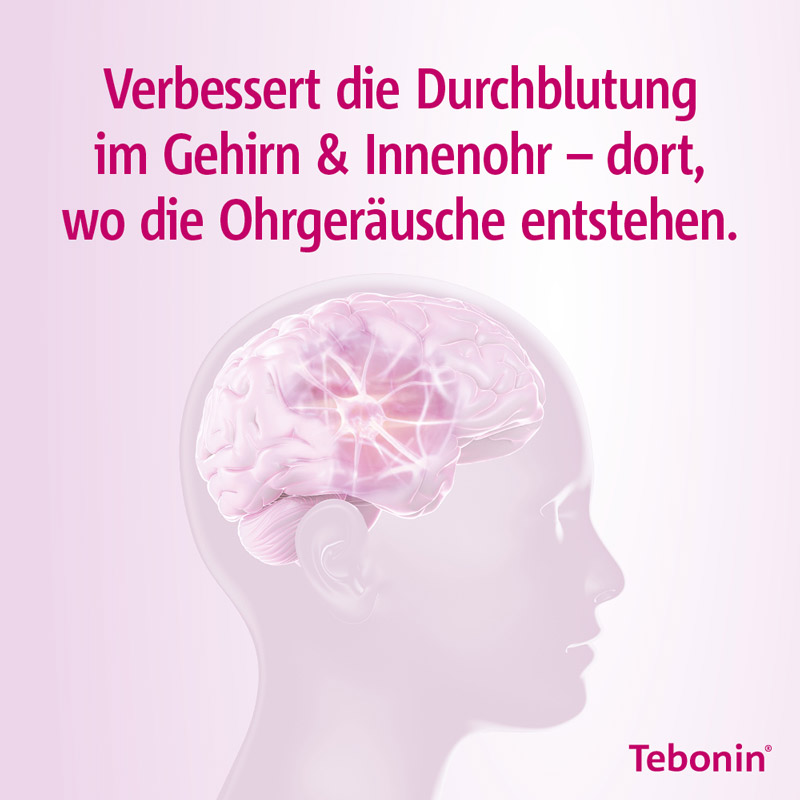 Tebonin intens 120 mg 200 St Filmtabletten