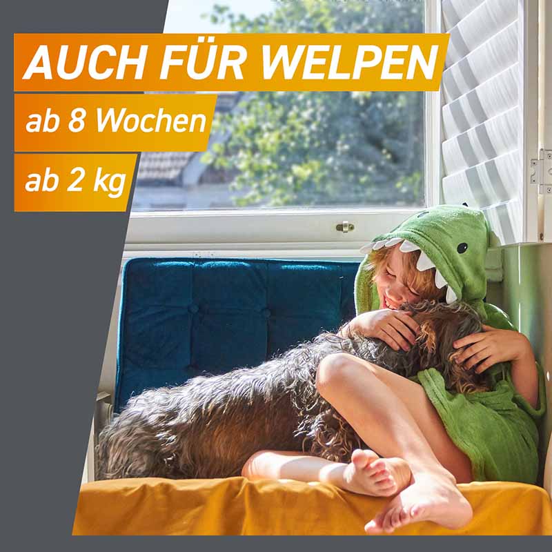 FRONTPRO Kautabletten Hunde >10 - 25 kg Doppelpack 2X3 St Kautabletten