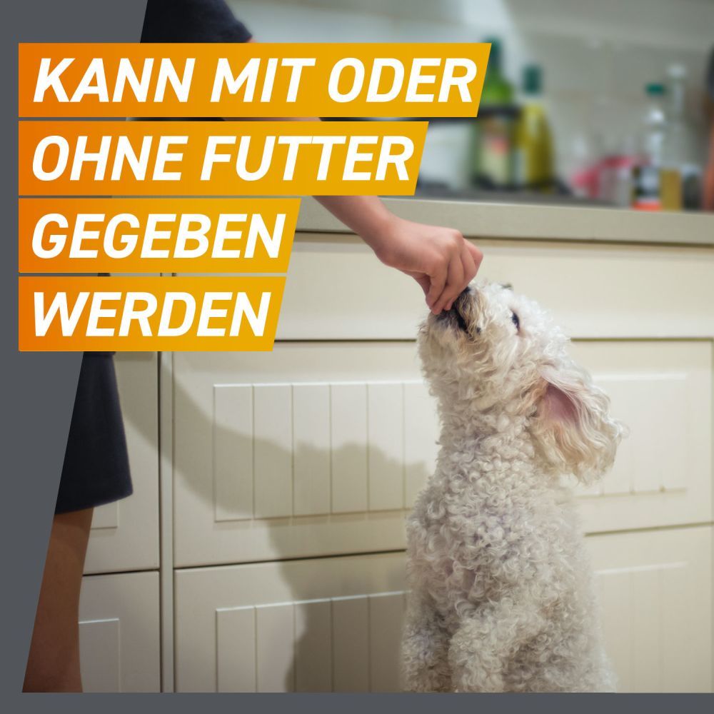 FRONTPRO Kautabletten Hunde 4-10 kg Doppelpack 2X3 St Kautabletten