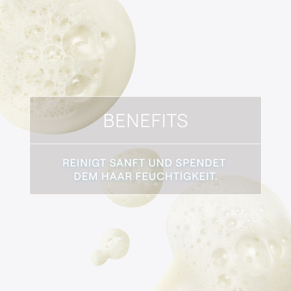 WELEDA FESTES SHAMPOO FEUCHTIGKEIT & GLANZ 50 g Shampoo