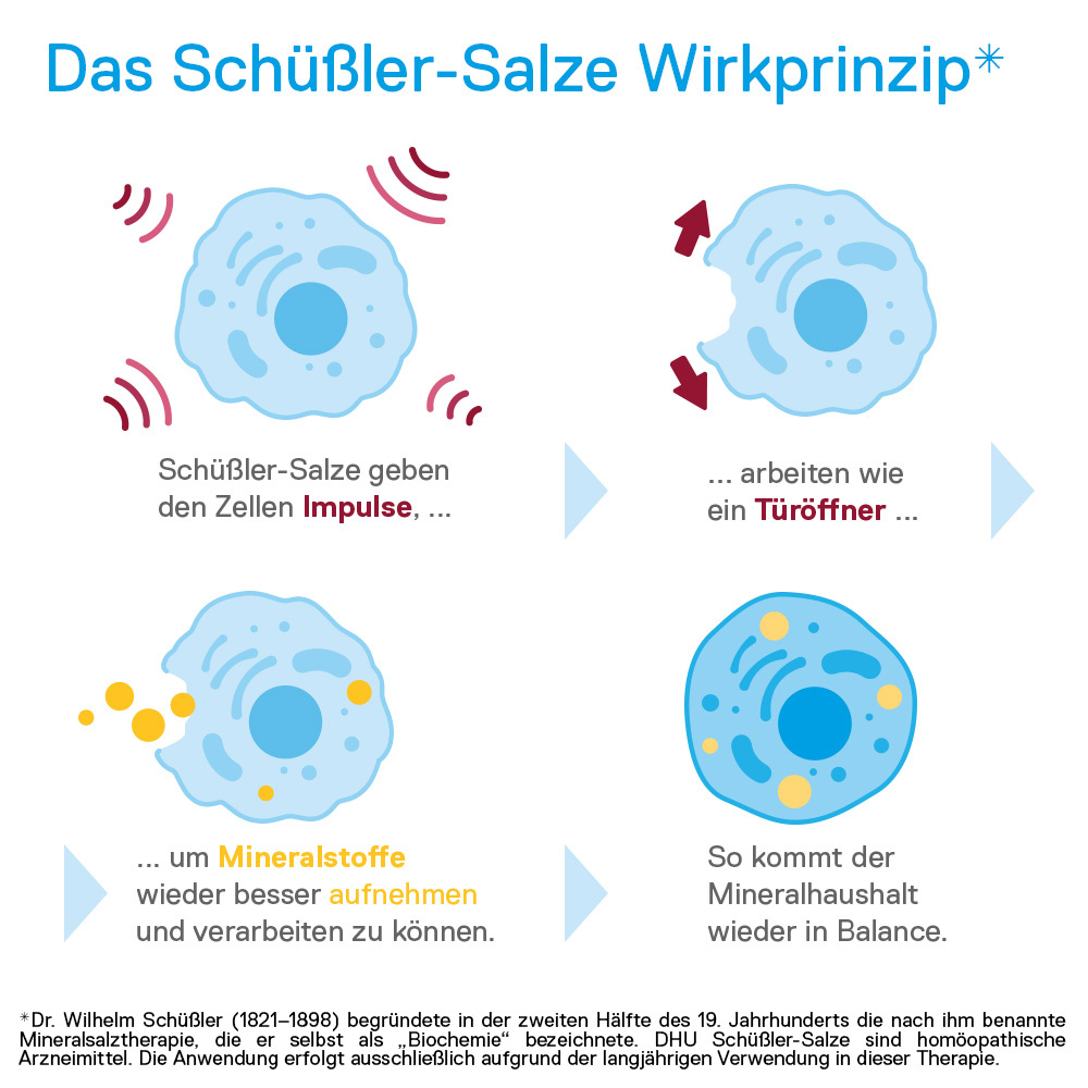 DHU Schüßler-Salz Nr. 4 Kalium chloratum D6 900 St Tabletten