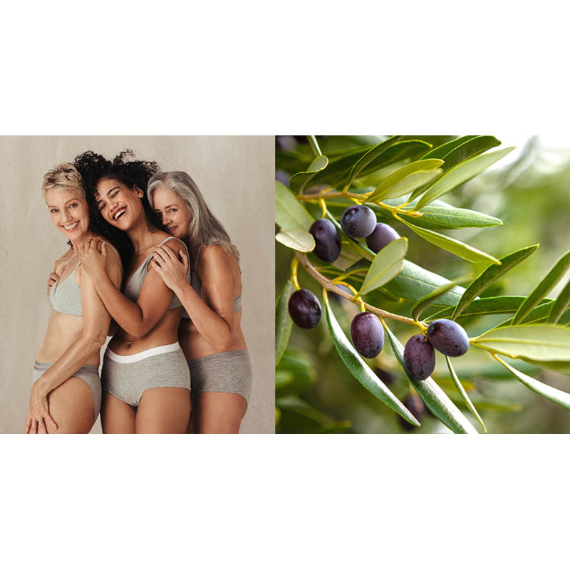 PLANTANA Gesichtscreme Olive 50 ml Creme