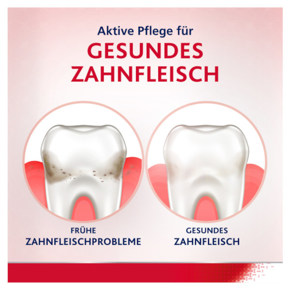 Parodontax Tägliche Zahnfleischpflege, 300ml 300 ml Spüllösung