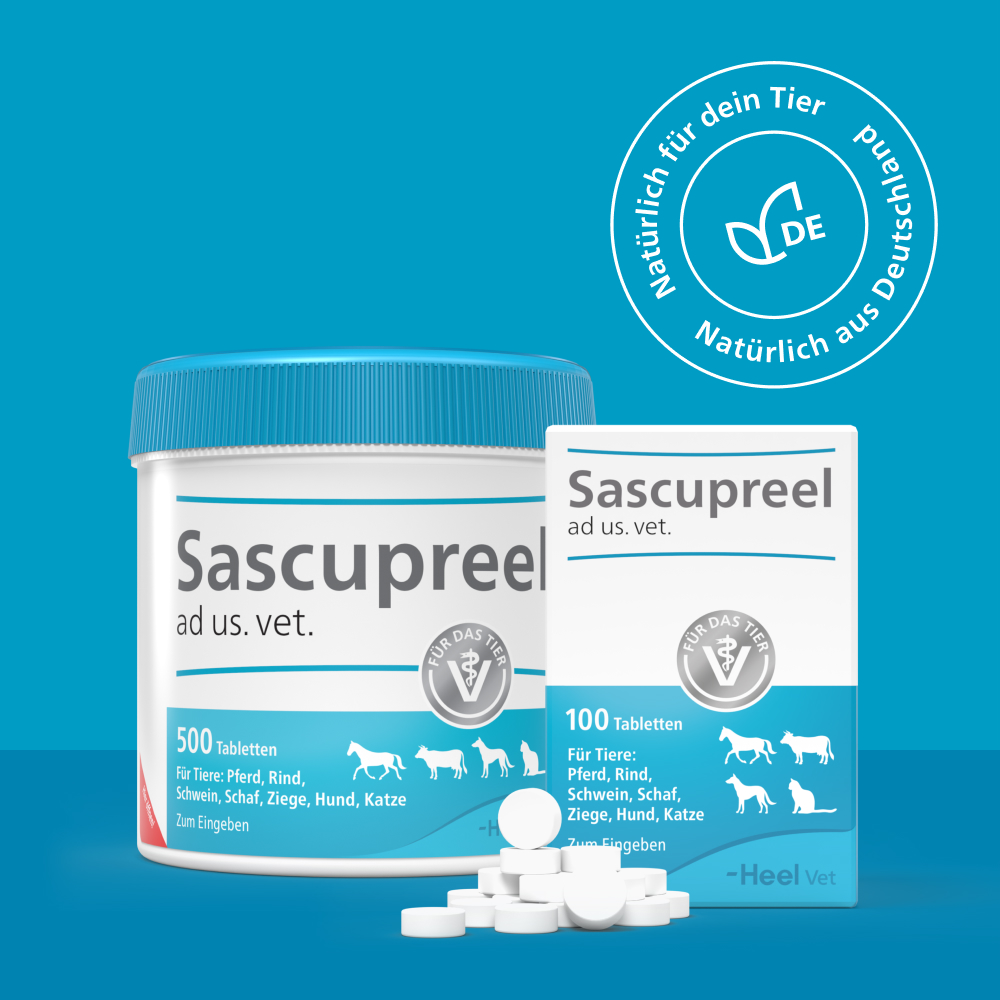 Sascupreel ad us. vet. 500 St Tabletten