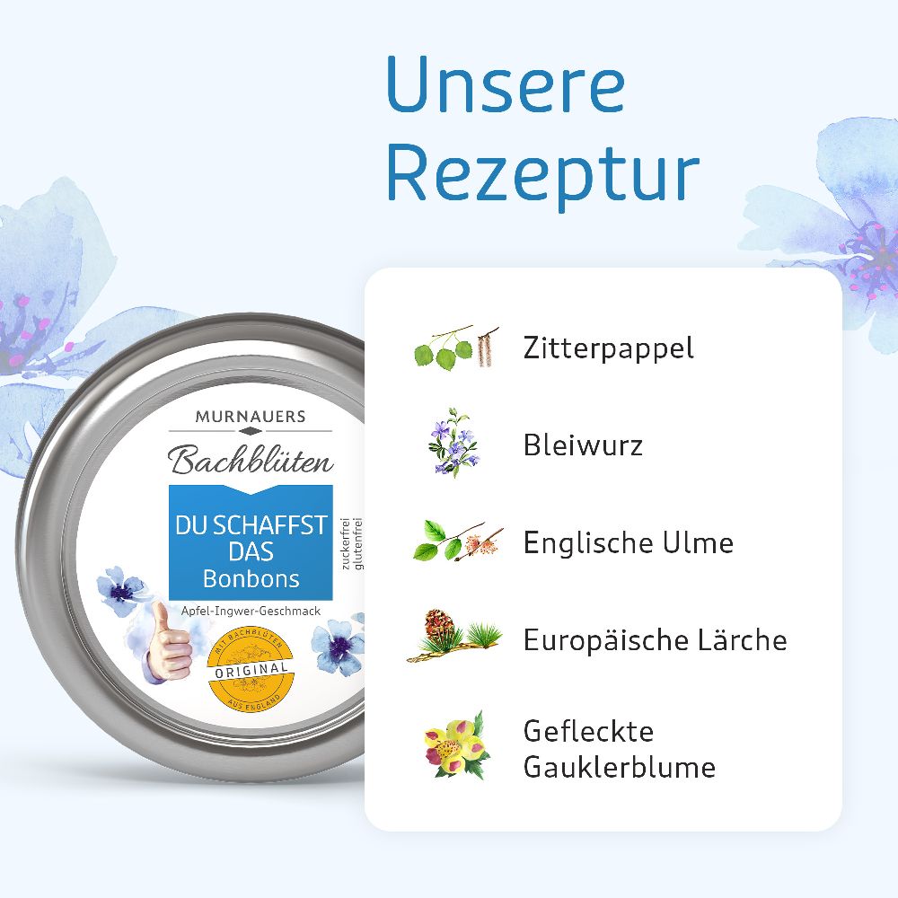 MURNAUERS Bachblüten Du schaffst das Bonbons 50 g Bonbons