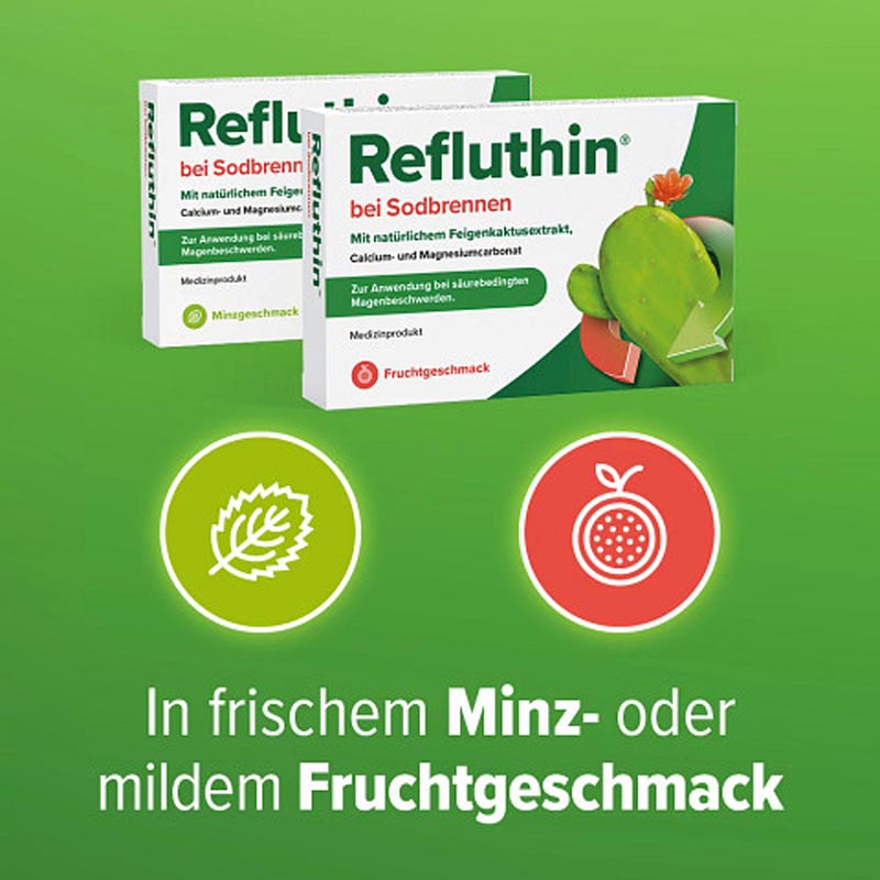 Refluthin bei Sodbrennen Minzgeschmack 48 St Kautabletten