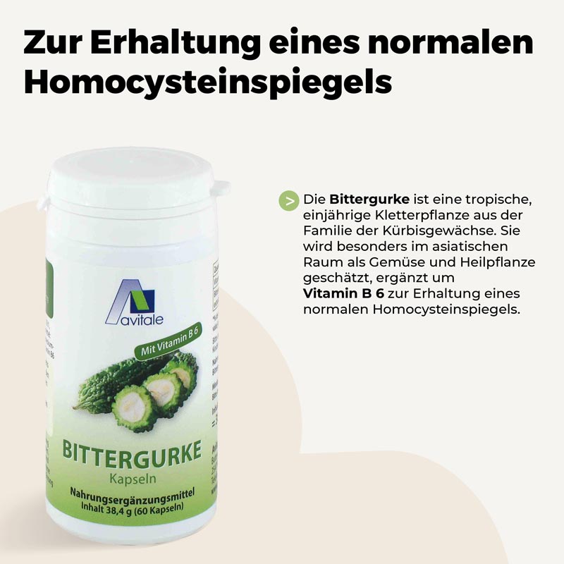 Avitale Bittergurke 500mg 60 St Kapseln