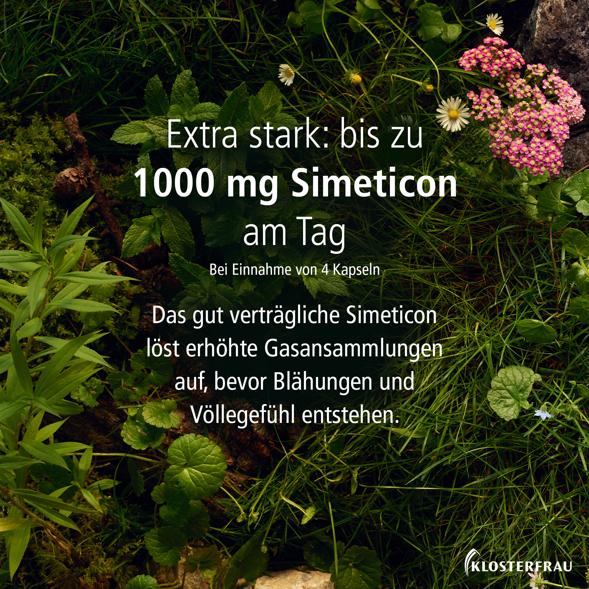 KLOSTERFRAU Magen-Darm Entspannung  20 St Kapseln