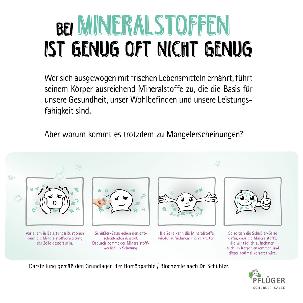 Schüßler-Salz Nr. 19 Cuprum arsenicosum D6 30 ml Tropfen