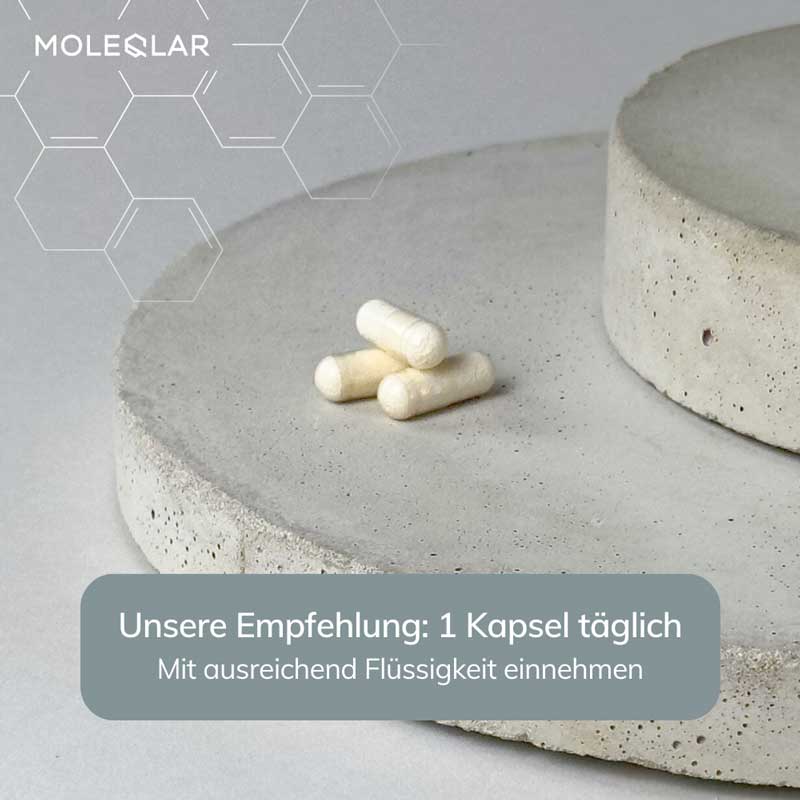 MOLEQLAR NR+ NICOTINAMIDE RIBOSIDE + TMG 30 St Kapseln