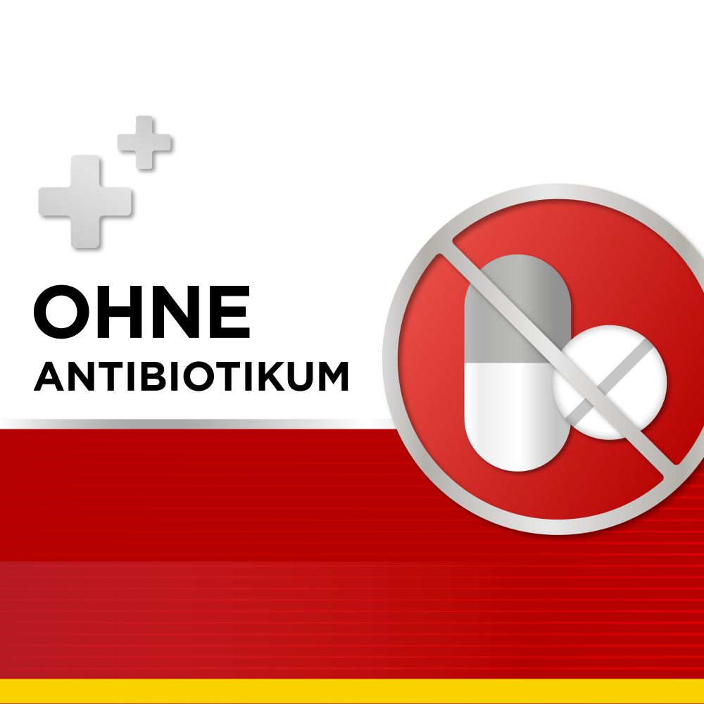 Dobendan Direkt SPRAY Honig & Zitrone 15 ml Spray