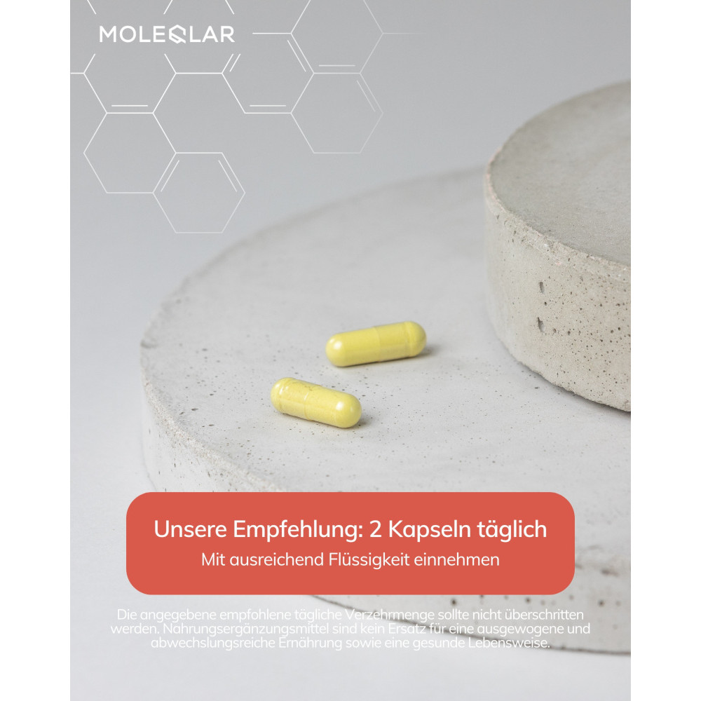 MOLEQLAR FISETIN FLAVONOID EXTRACT 60 St Kapseln