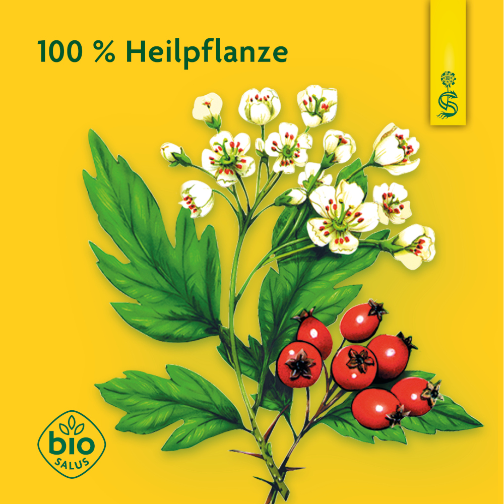 Schoenenberger Weißdorn Naturreiner Heilpflanzensaft  3X200 ml Flüssigkeit