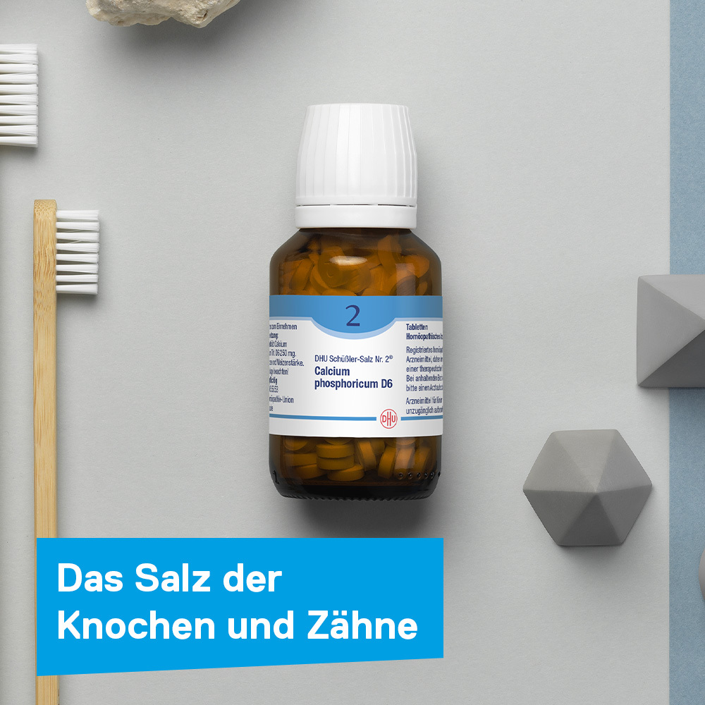 DHU Schüßler-Salz Nr. 2 Calcium phosphoricum D6 420 St Tabletten