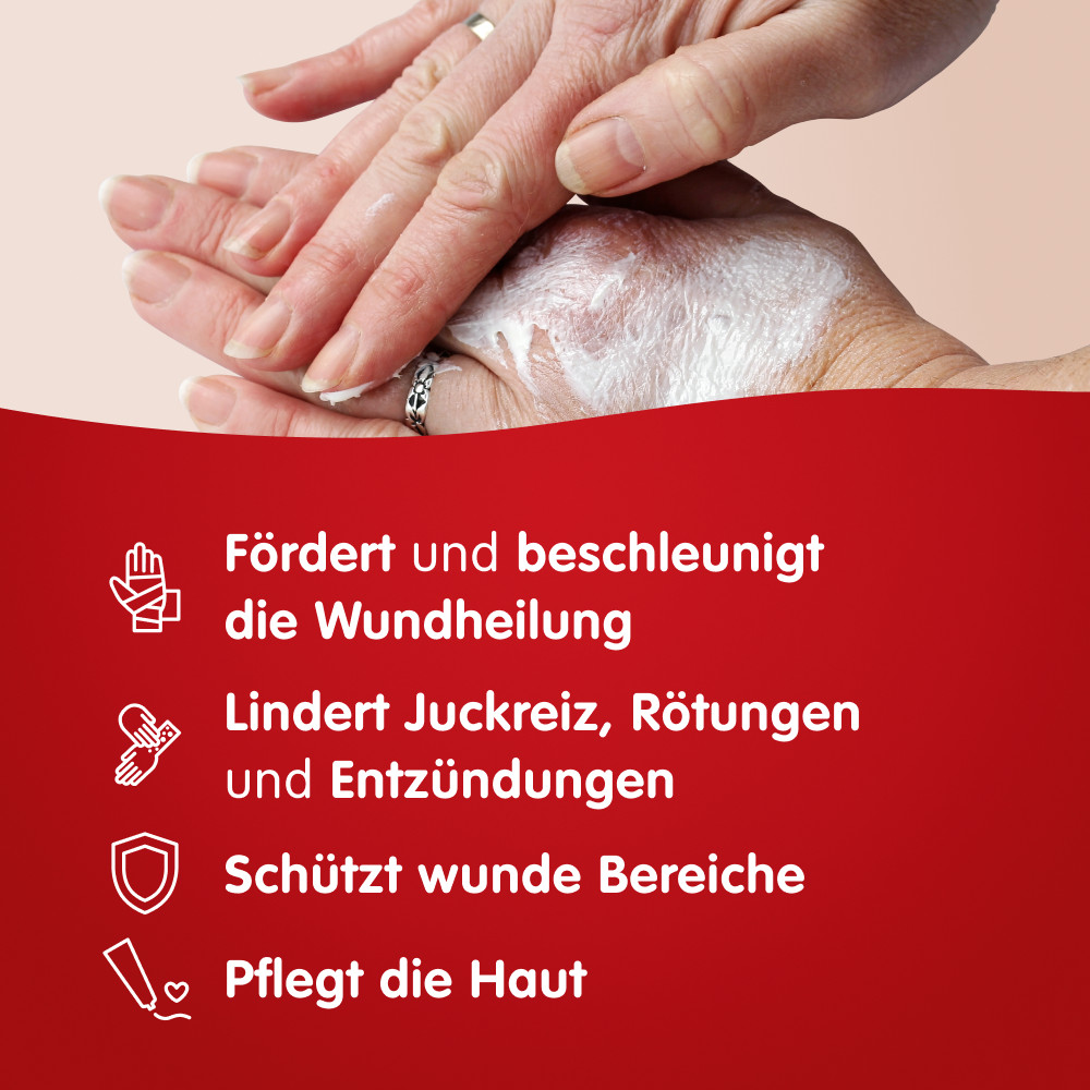 Mirfulan Wund- und Heilsalbe 100 g Salbe