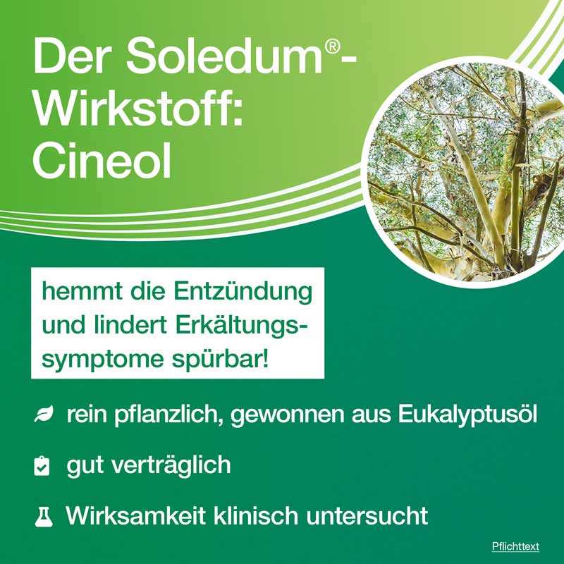 Soledum Balsam  20 ml Flüssigkeit