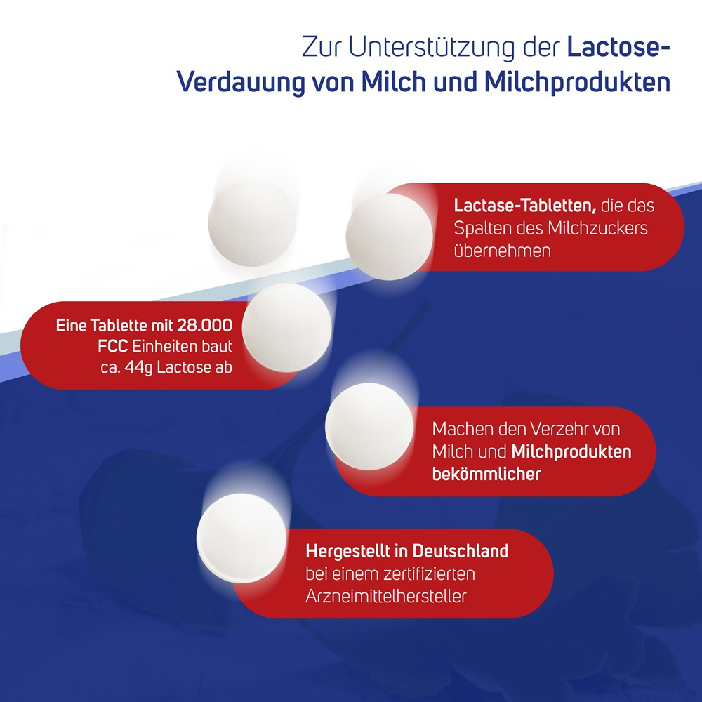 Avitale Lactase 28000 FCC Tabletten im Spender 80 St Tabletten