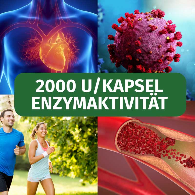GREEN NATURALS NATTOKINASE 100 mg  365 St Kapseln