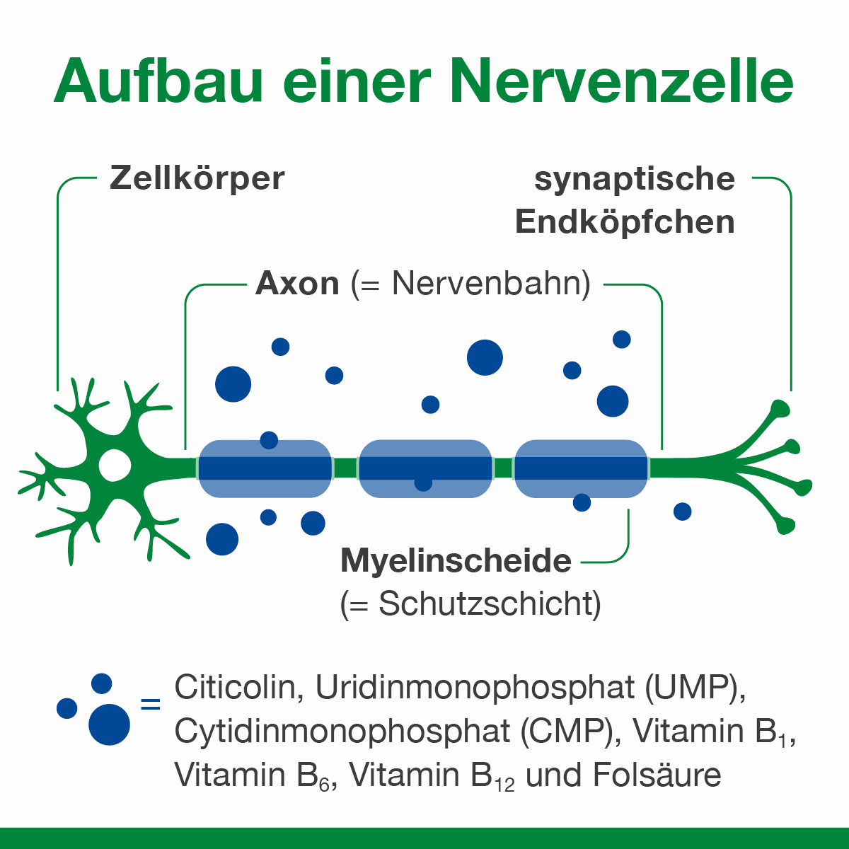 neuroLoges concept 30 St Kapseln