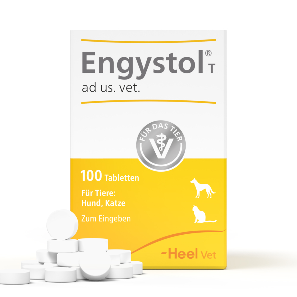 Engystol T ad us. vet. 100 St Tabletten