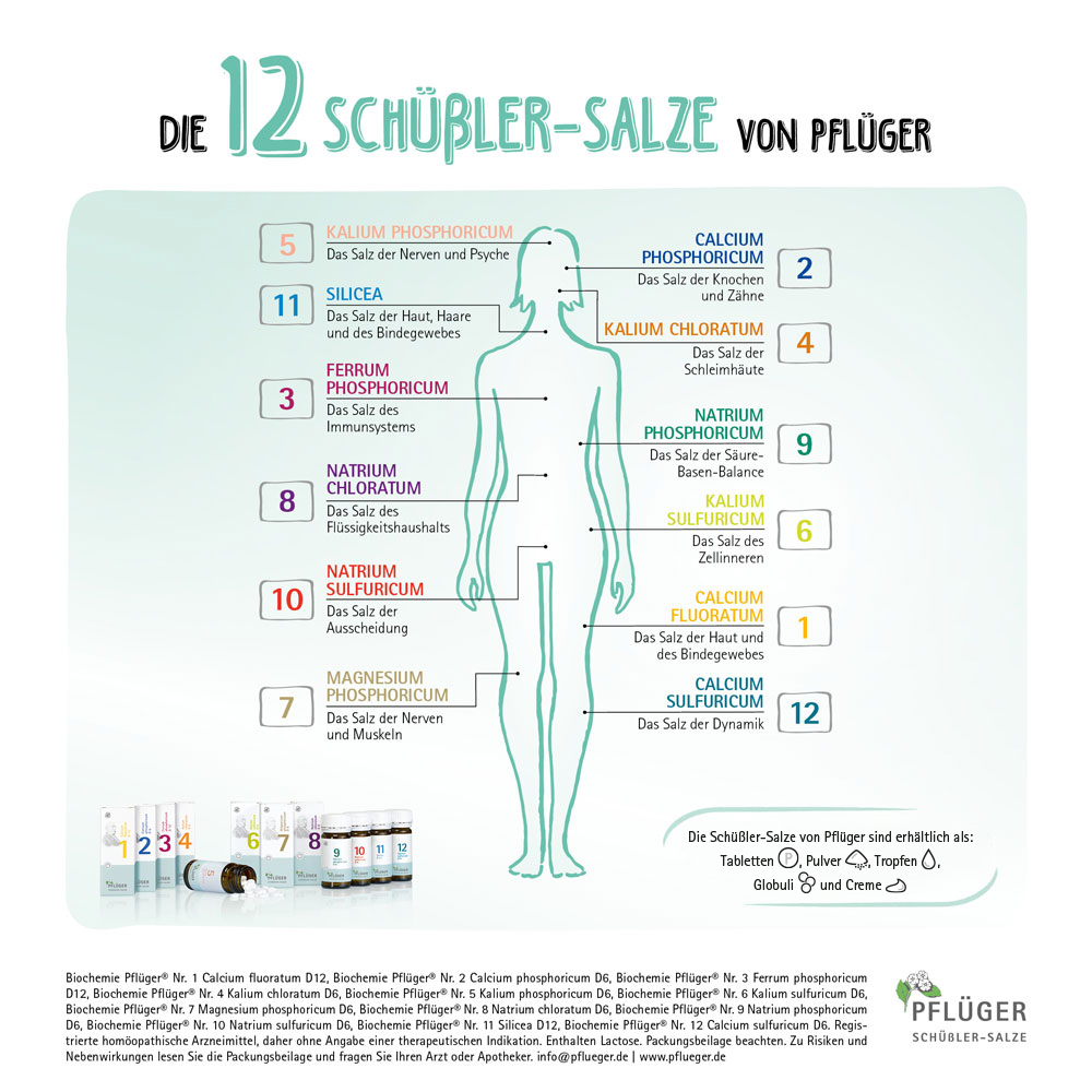 Schüßler-Salz Nr. 19 Cuprum arsenicosum D6 100 St Tabletten