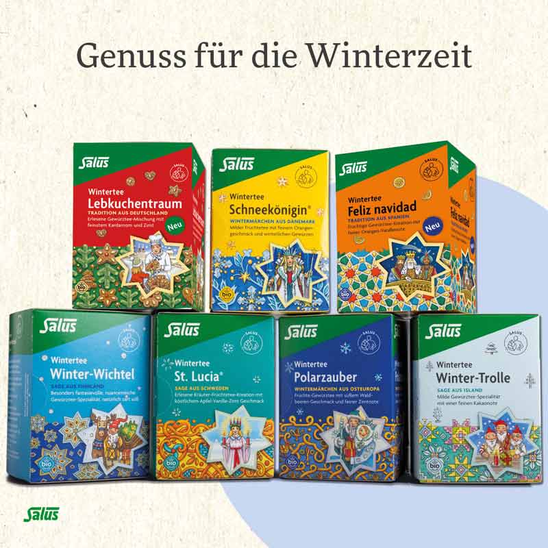 Salus Wintertee Schneekönigin 15 St Filterbeutel