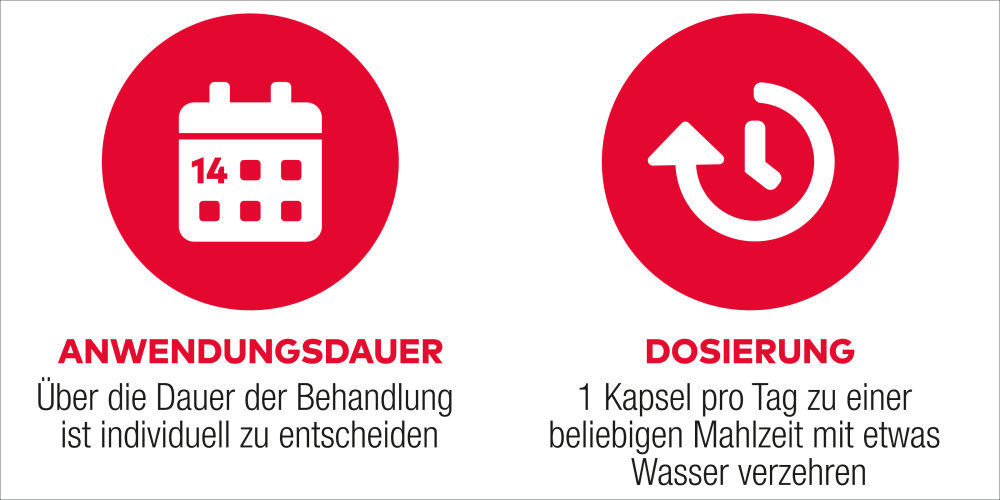 D3 + K2 Vit AL 2000IE/80µg 90 St Kapseln