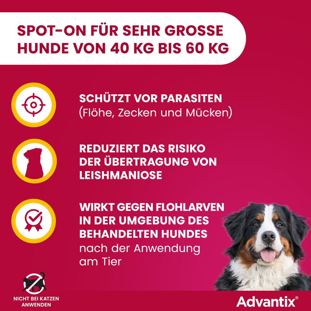 ADVANTIX SPOT-ON HUND 40-60KG 4X6.0 ml Lösung