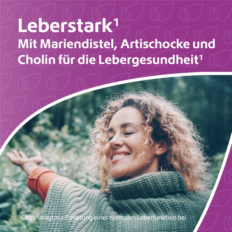 Leber- Komplex +Mariendistel +Artischocke +Cholin 120 St Kapseln
