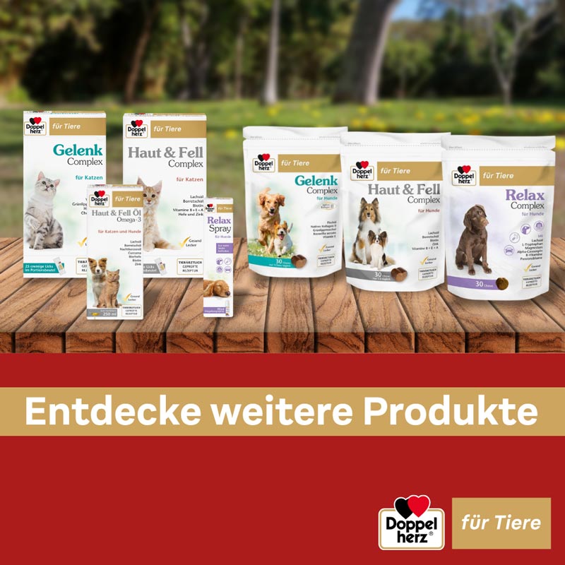 Doppelherz Haut & Fell Öl Omega-3 für Katzen und Hunde 250 ml Flüssigkeit