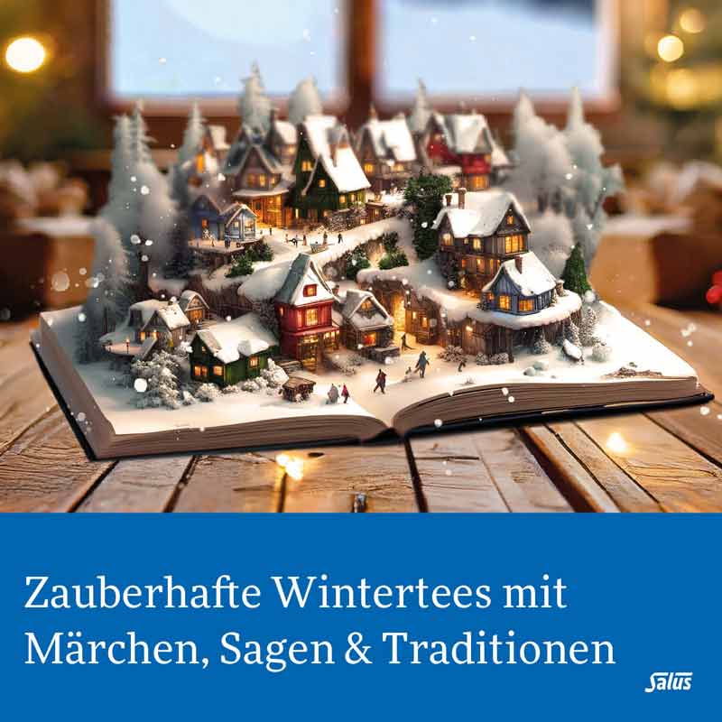 Salus Wintertee Polarzauber 15 St Filterbeutel