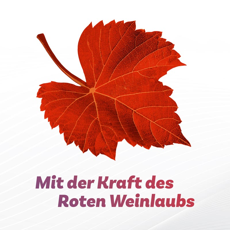 Antistax Venencreme 100 g Creme