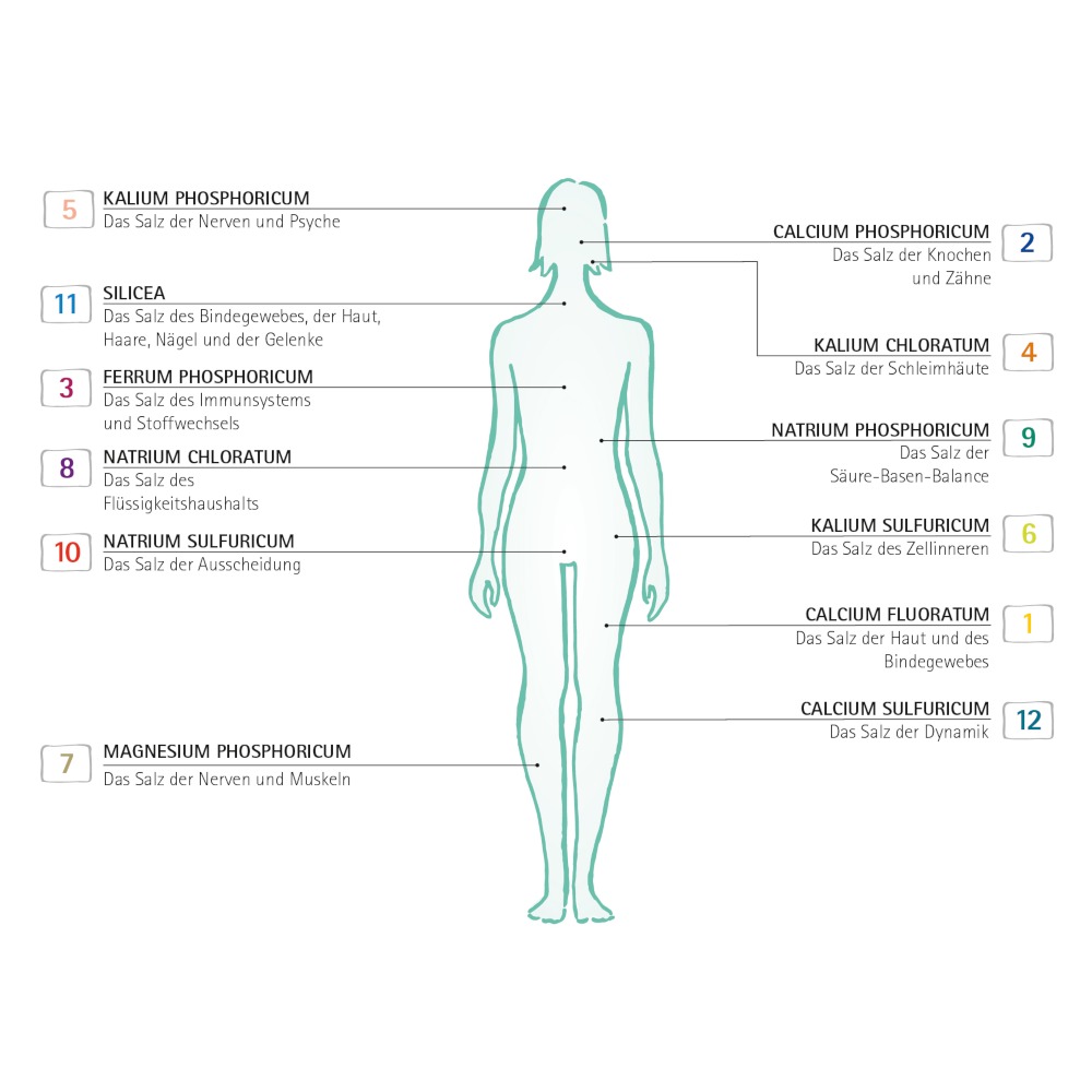 Derivatio Tabletten 200 St Tabletten