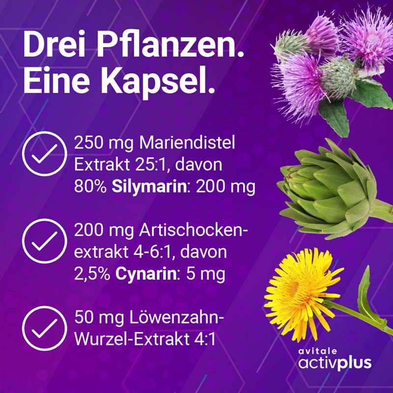avitale ACTIVPLUS MARIENDISTEL + ARTISCHOCKE + LÖWENZAHN 120 St Kapseln