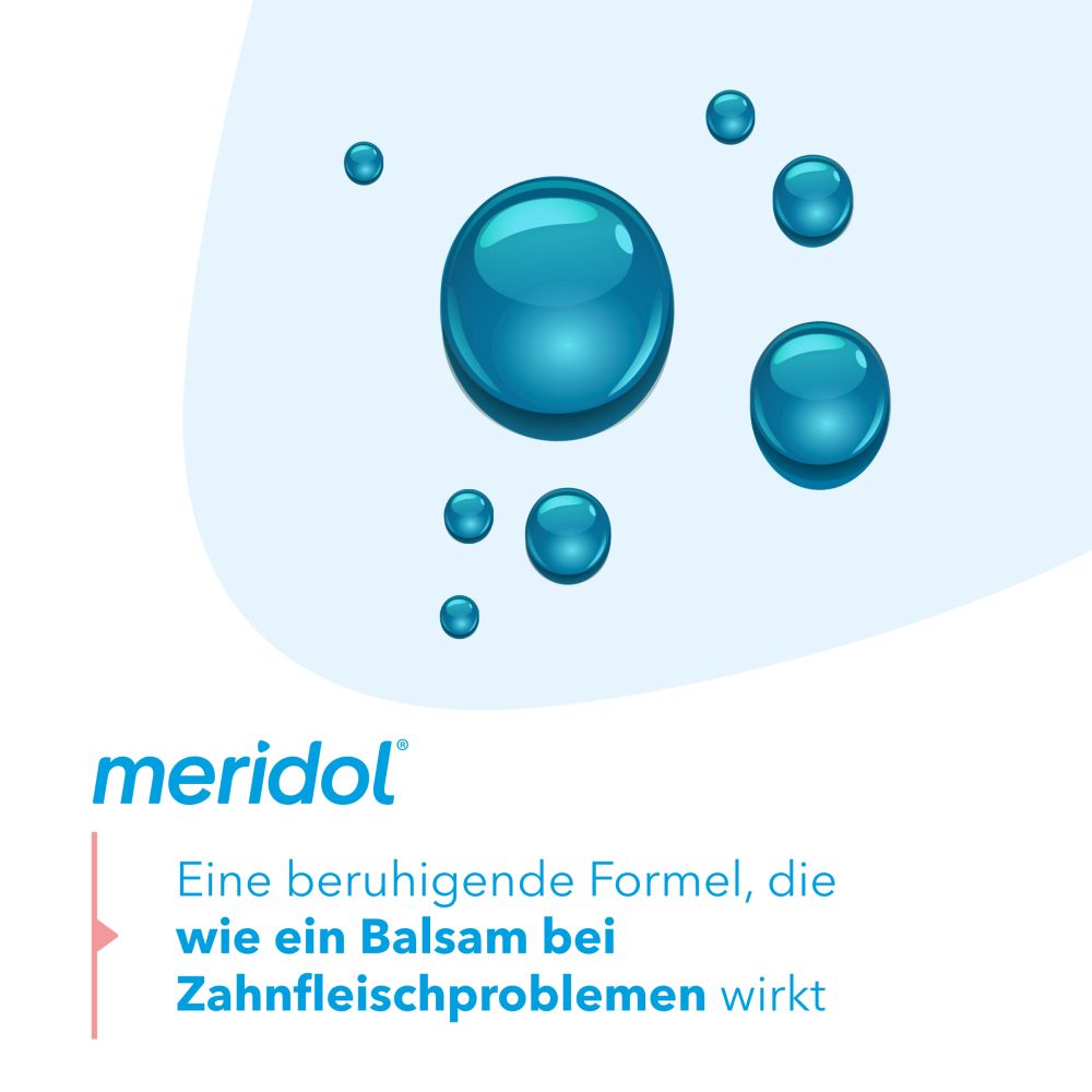 meridol MUNDSPÜLUNG ZAHNFLEISCHSCHUTZ & FRISCHER ATEM 400 ml Lösung