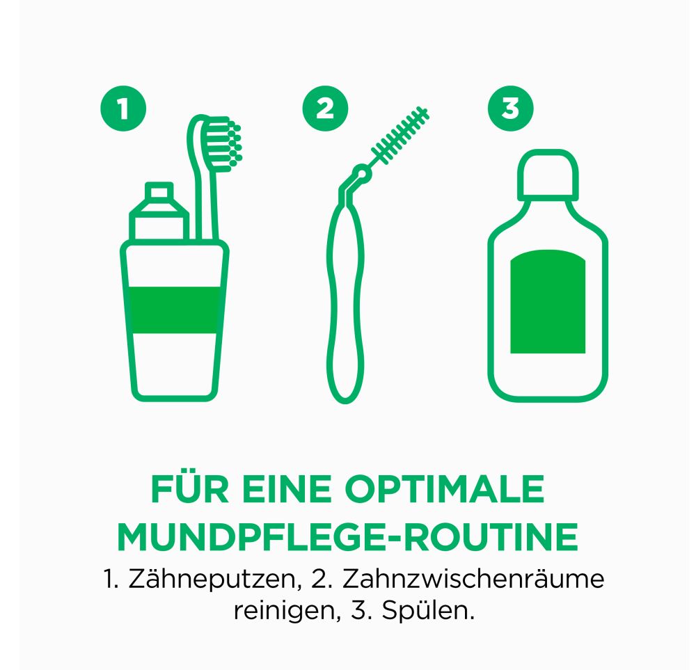 GUM TRAV-LER 1,6mm Tanne blau Interdental+6Kappen 6 St Zahnbürste