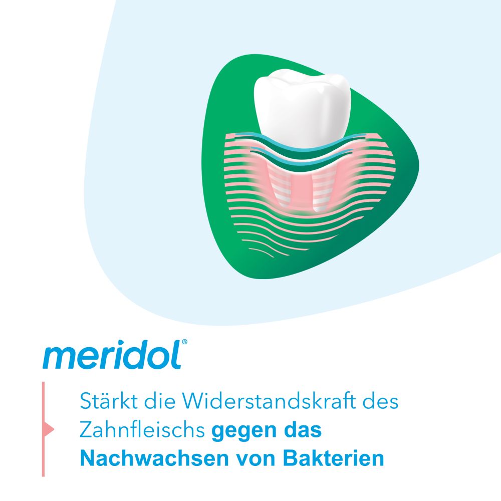 meridol MUNDSPÜLUNG ZAHNFLEISCHSCHUTZ & FRISCHER ATEM 400 ml Lösung