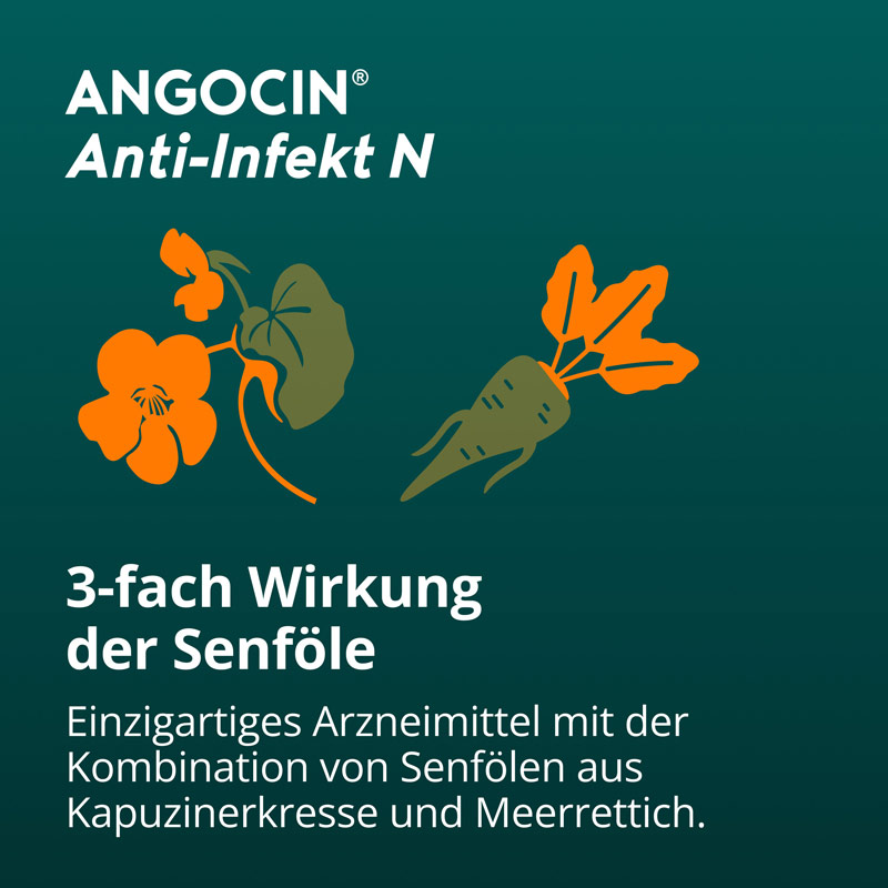 ANGOCIN Anti-Infekt N 120 St Filmtabletten