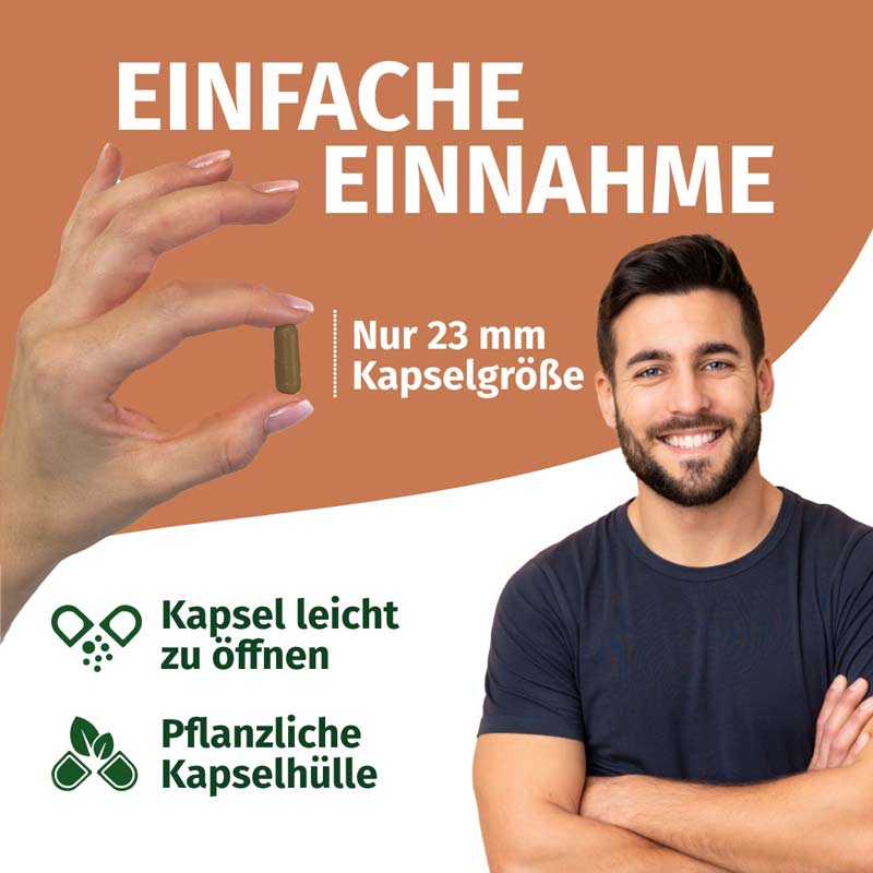 GREEN NATURALS Reishi 180 St Kapseln