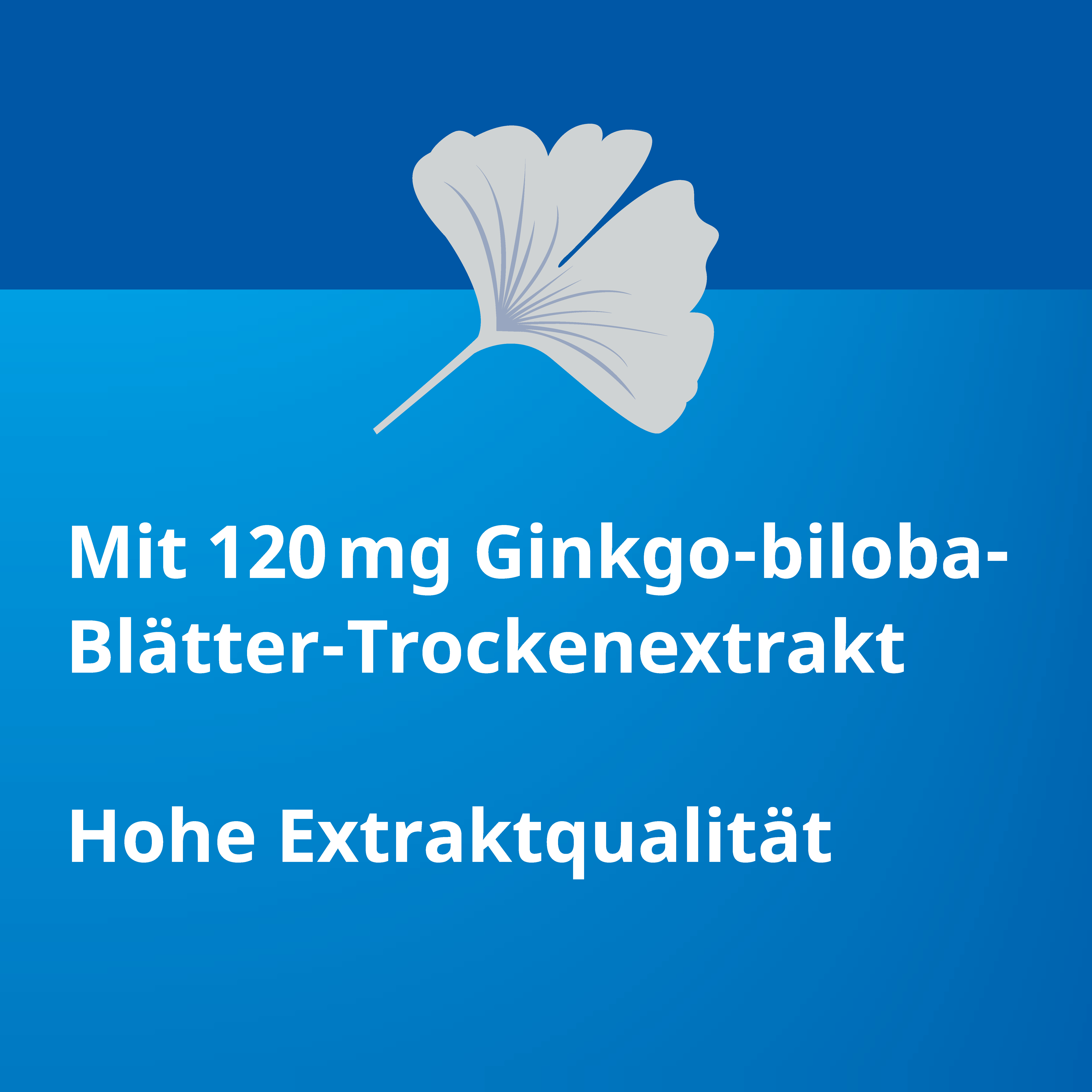 Ginkgo STADA 120mg 30 St Filmtabletten