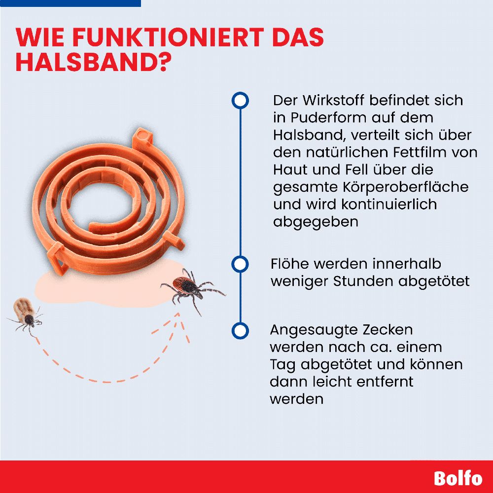BOLFO HB GR. 1 St Halsband