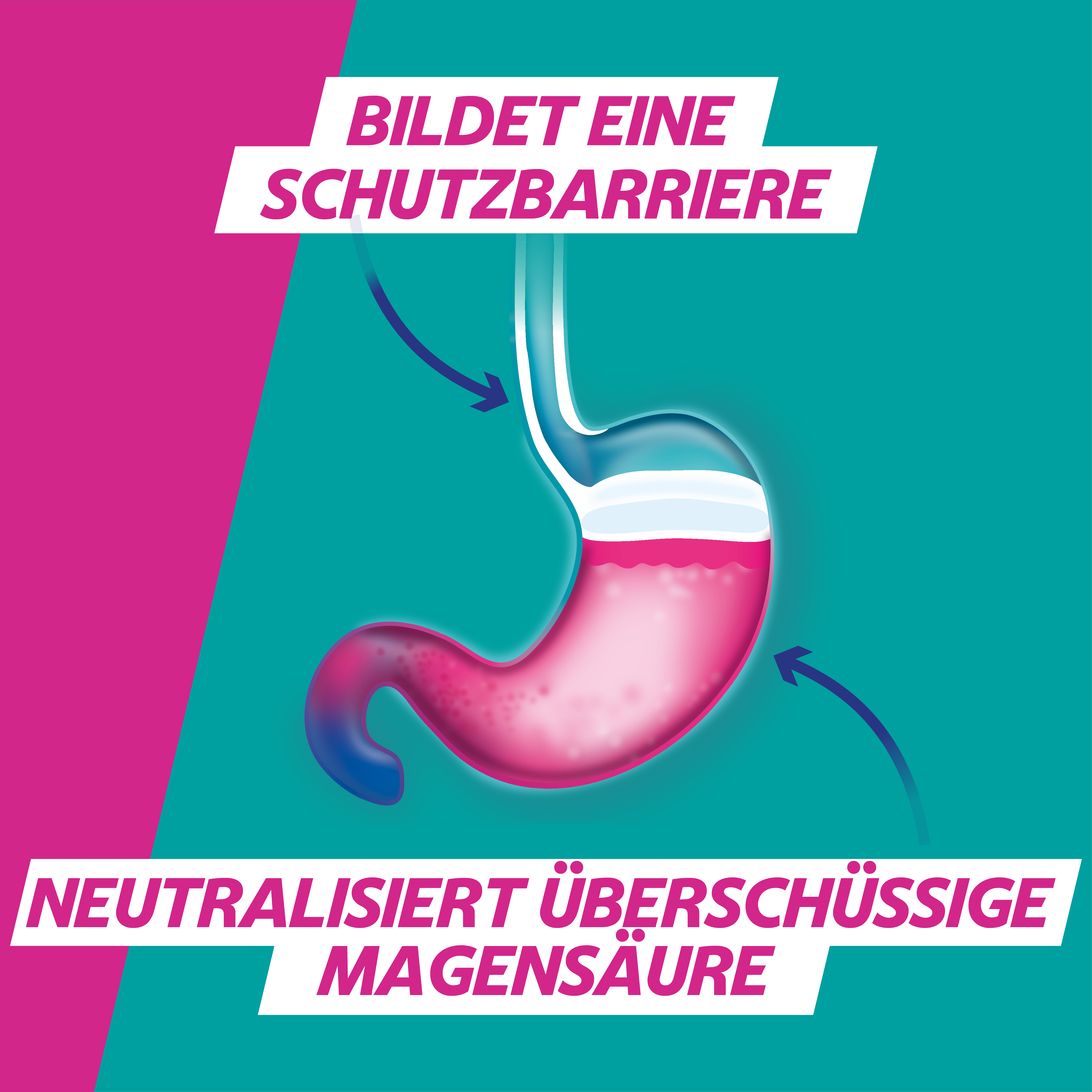 GAVISCON DUAL Waldfruchtgeschmack - Bei Sodbrennen 16 St Kautabletten