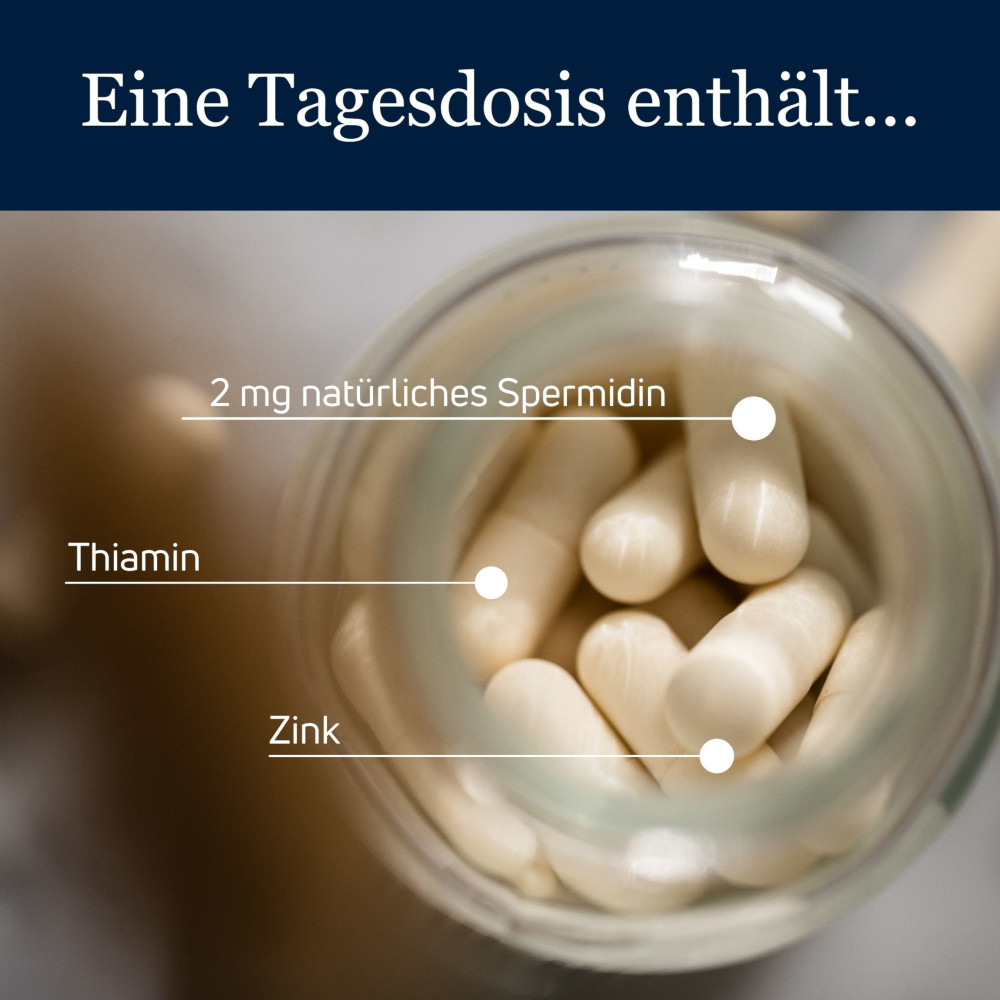 spermidine LIFE Original 365+ 3X60 St Kapseln