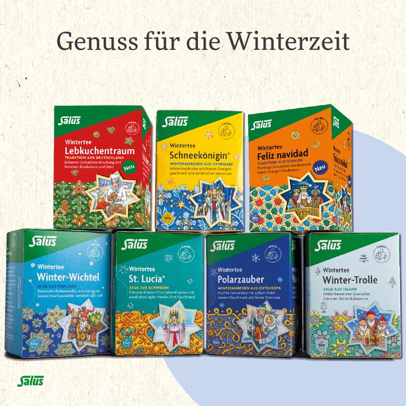 Salus Wintertee Feliz navidad 15 St Filterbeutel