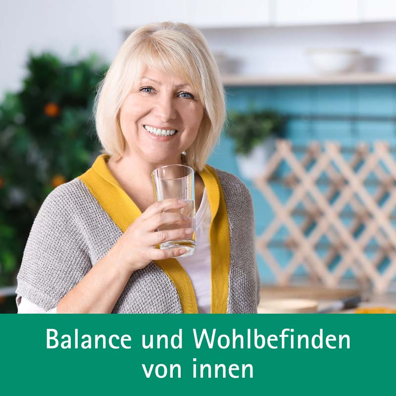 Schüßler-Salz Nr. 9 Natrium phosphoricum D6 100 St Tabletten