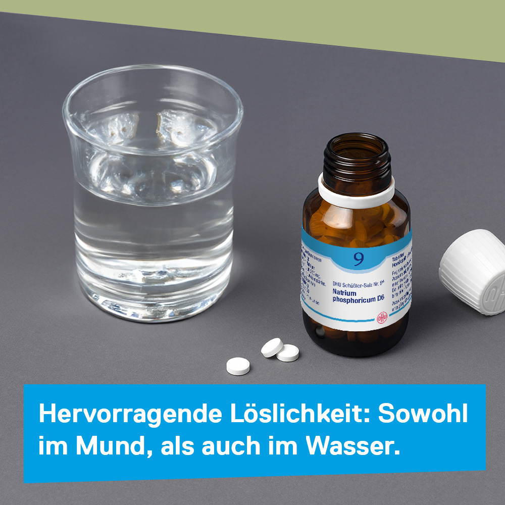 DHU Schüßler-Salz Nr. 9 Natrium phosphoricum D12 200 St Tabletten
